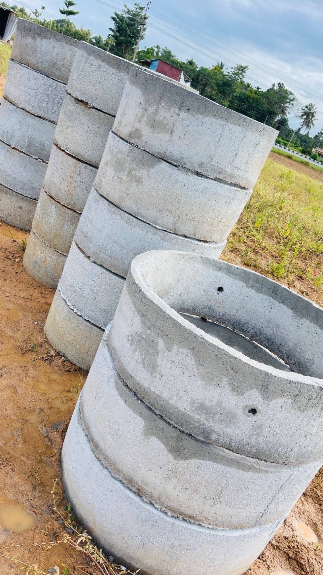 Skilled Local Experts